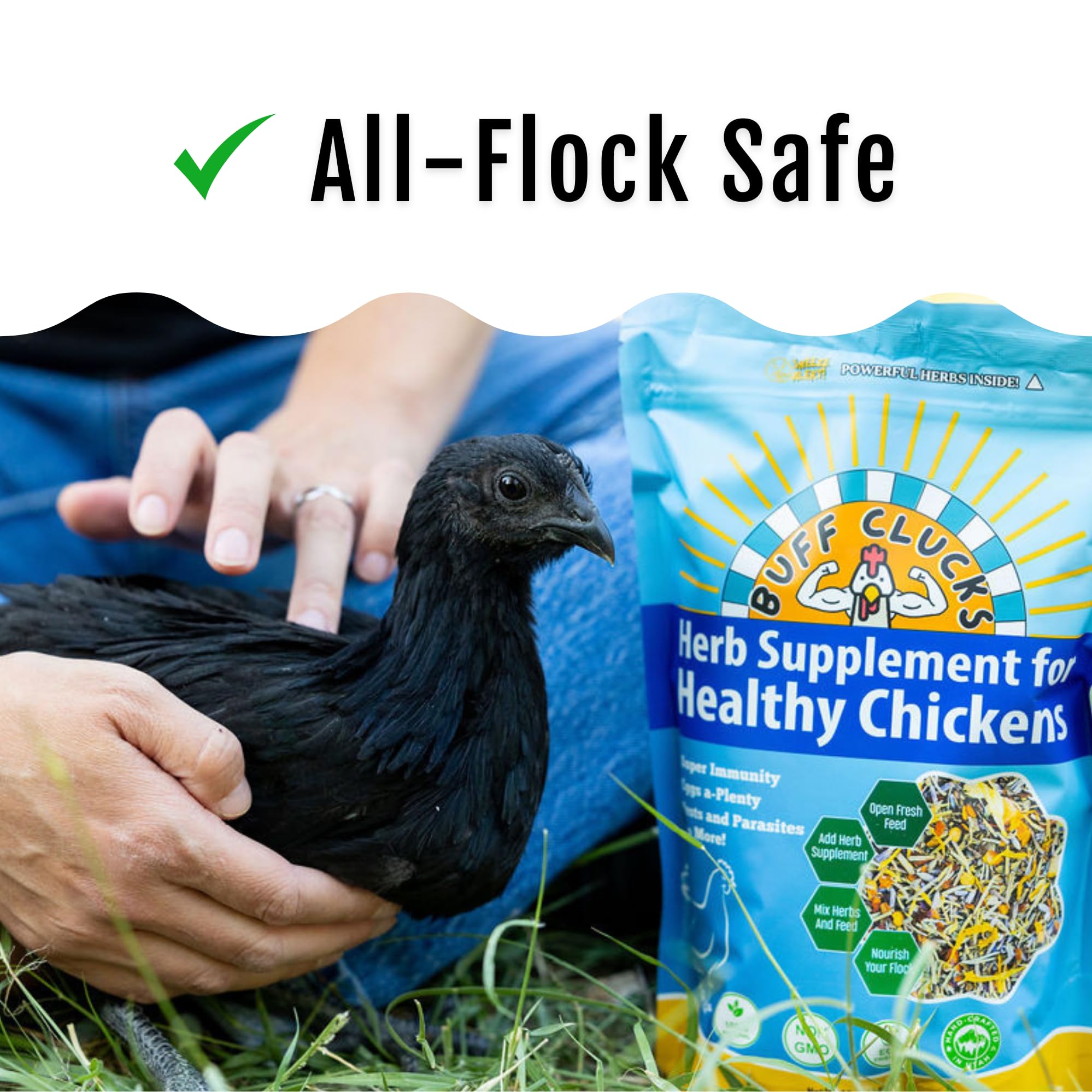 Buff Clucks Herb Supplement for Backyard Chickens - Natural Chicken Treats, Poultry Feed Botanical Mix, Plant-Based Coop Snacks
